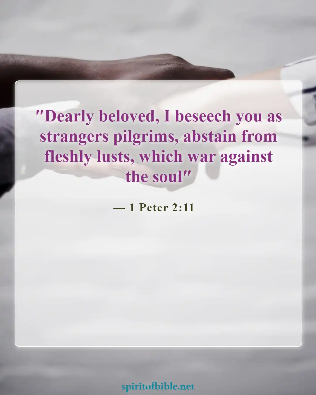 Bible Verses About Your Soul (1 Peter 2:11)
