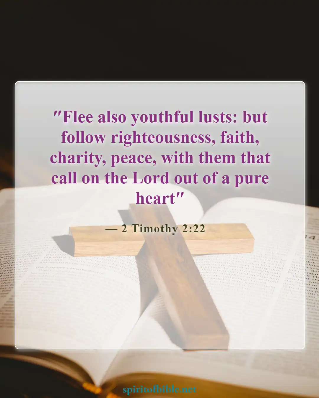 Bible Verses About Living For God (2 Timothy 2:22)