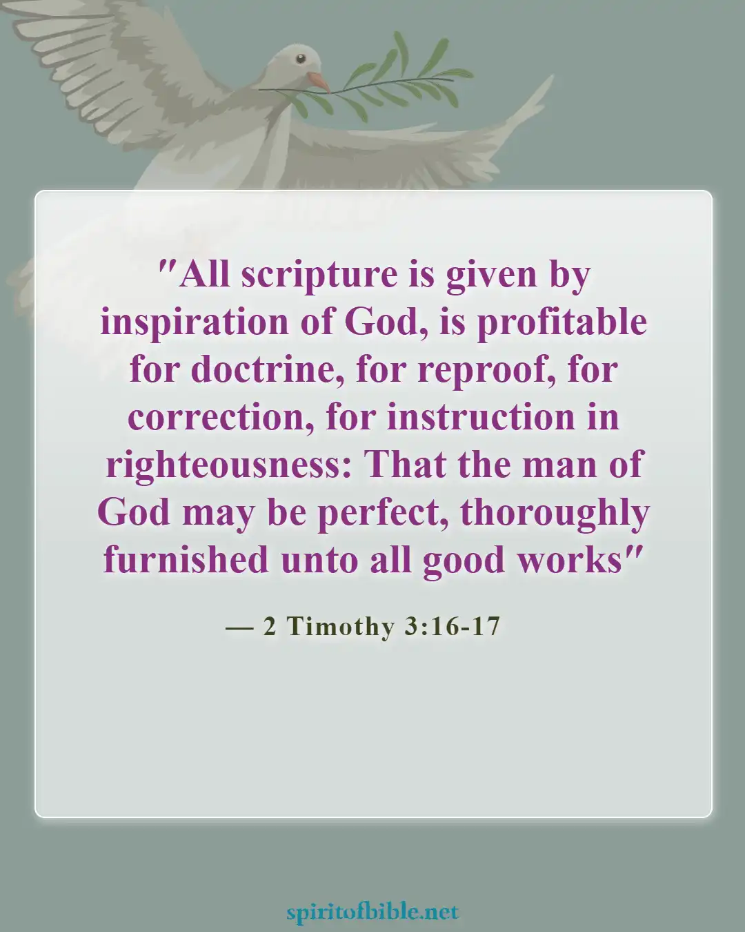 Bible Verses About Believing Lies (2 Timothy 3:16-17)