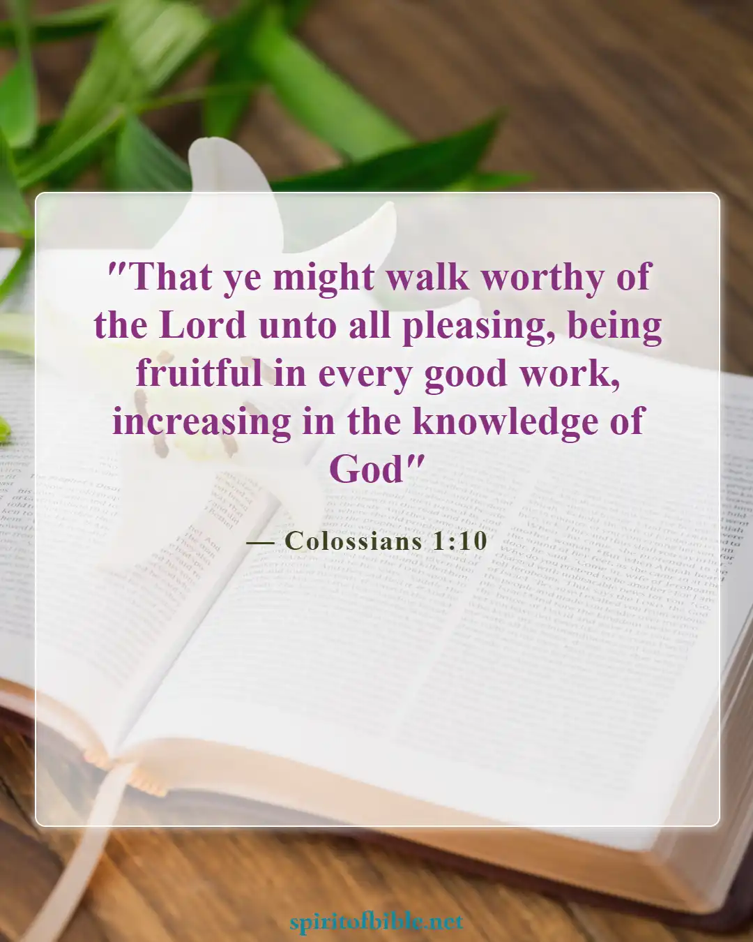 Bible Verses About Salvation And Good Works (Colossians 1:10)