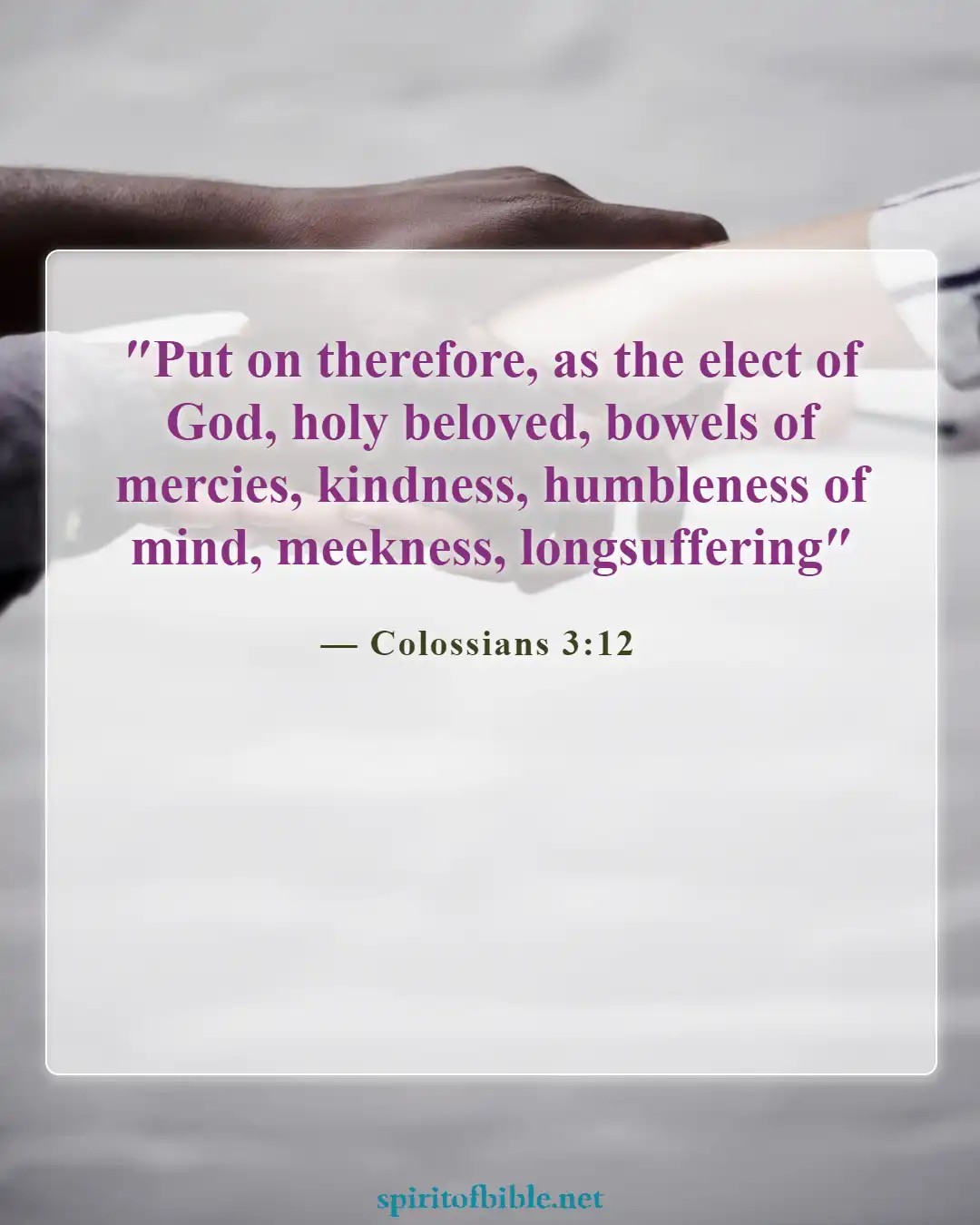 Bible Verses About Humbleness (Colossians 3:12)