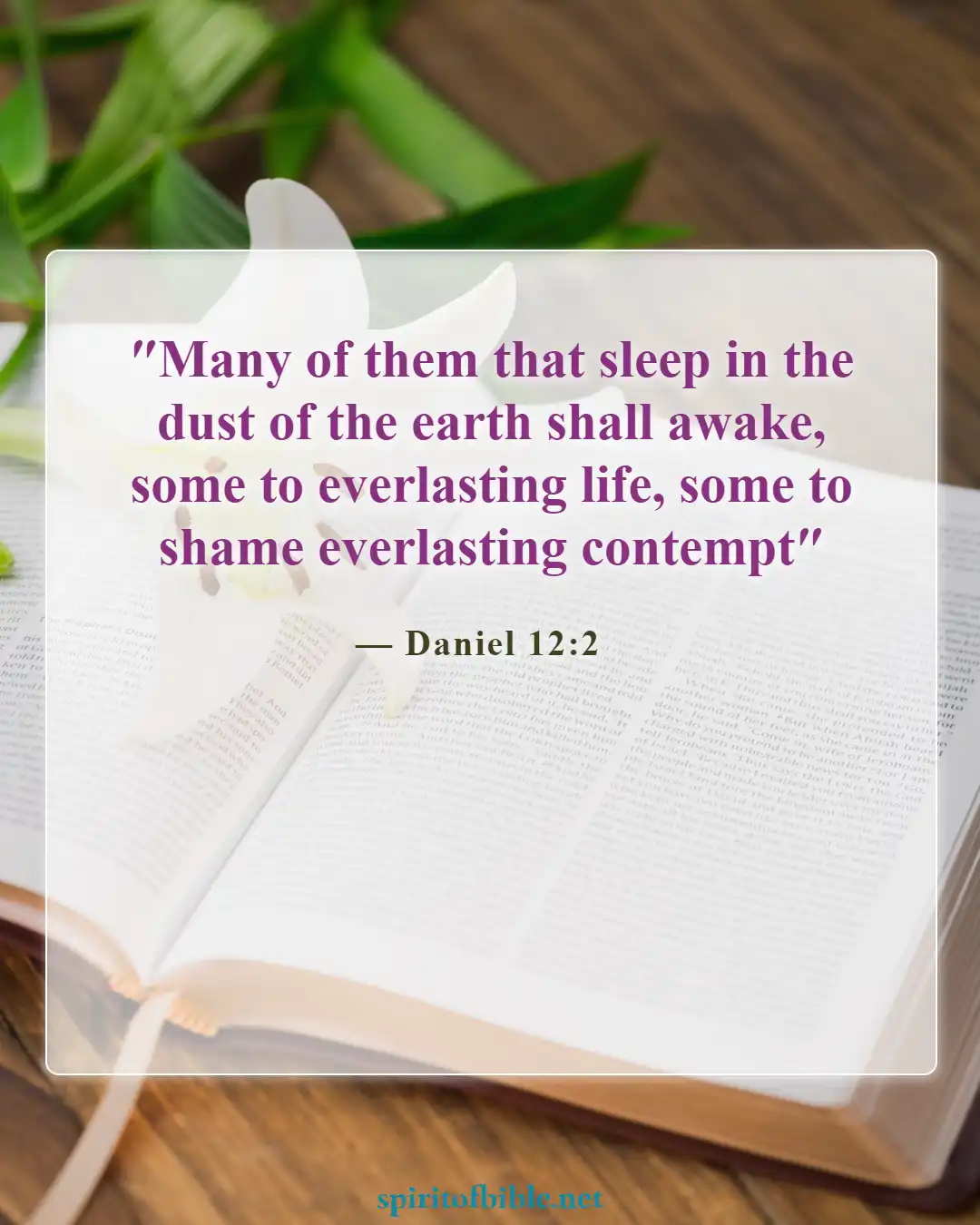 Bible Verses About Everlasting Life (Daniel 12:2)