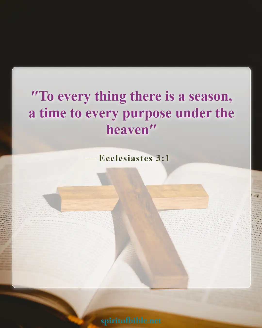 Bible Verses About Finding Your Soulmate (Ecclesiastes 3:1)