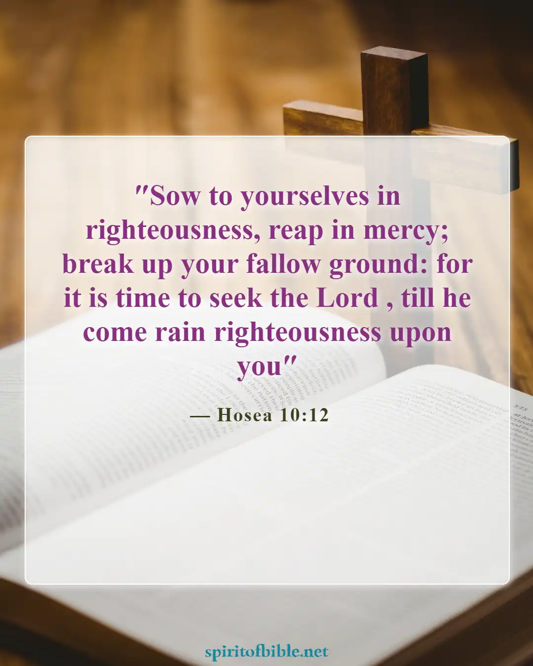 Bible Verses About Seeking God (Hosea 10:12)