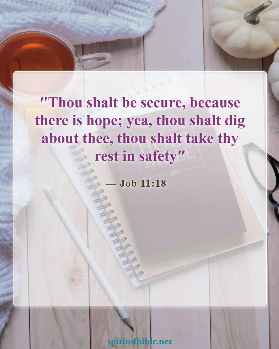 Bible Verses About Hope (Job 11:18)