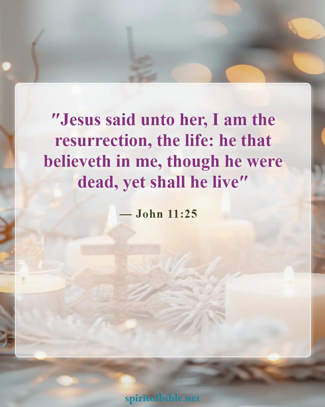 Bible Verses About Heaven and Eternal Life (John 11:25)