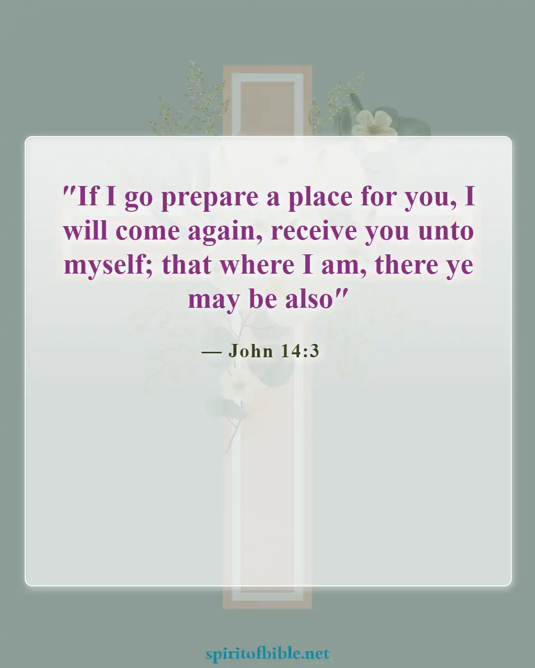 Bible Verses About Heaven and Eternal Life (John 14:3)