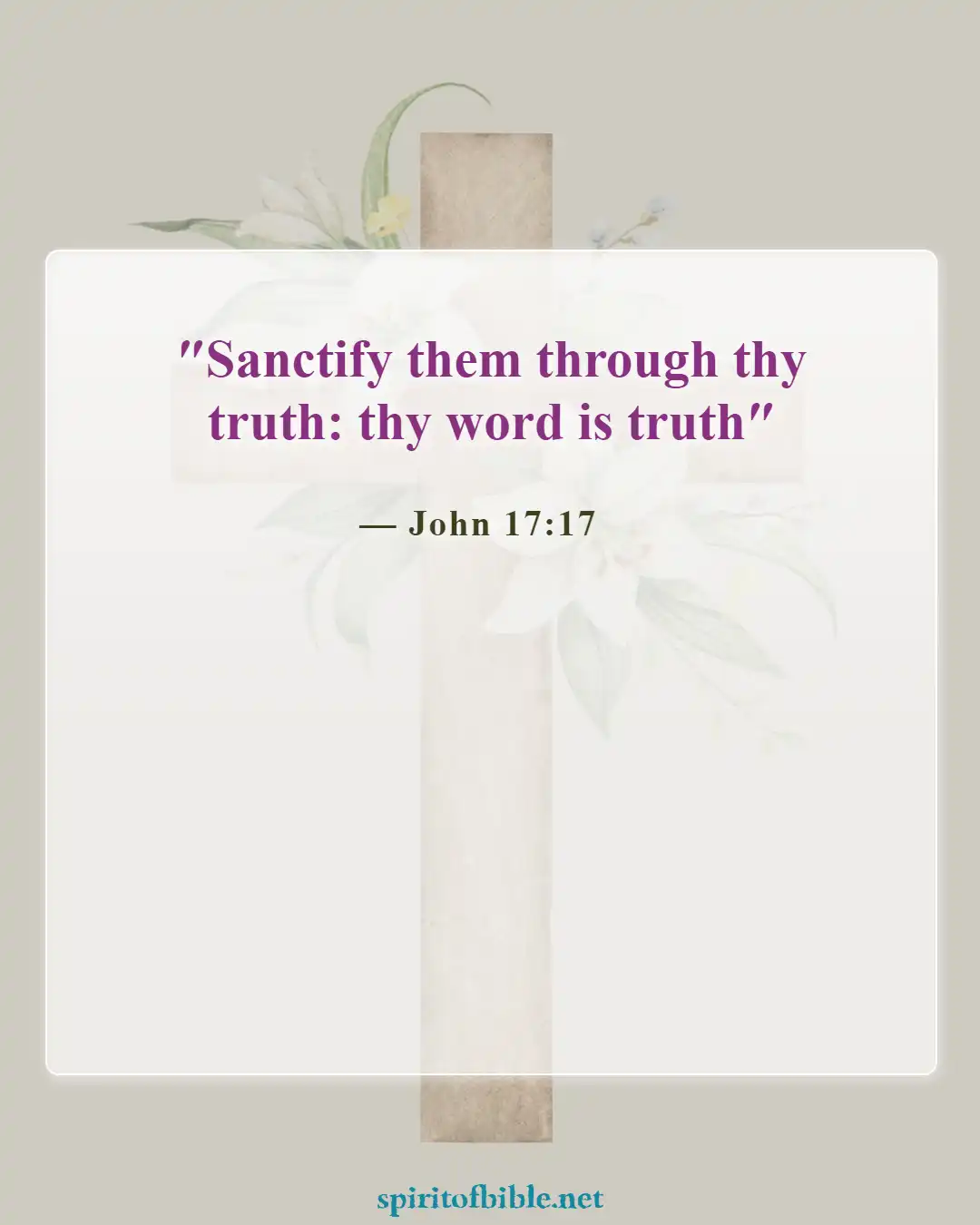 Bible Verses About Believing Lies (John 17:17)