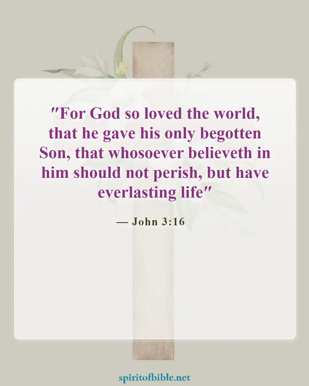 Bible Verses About Heaven and Eternal Life (John 3:16)