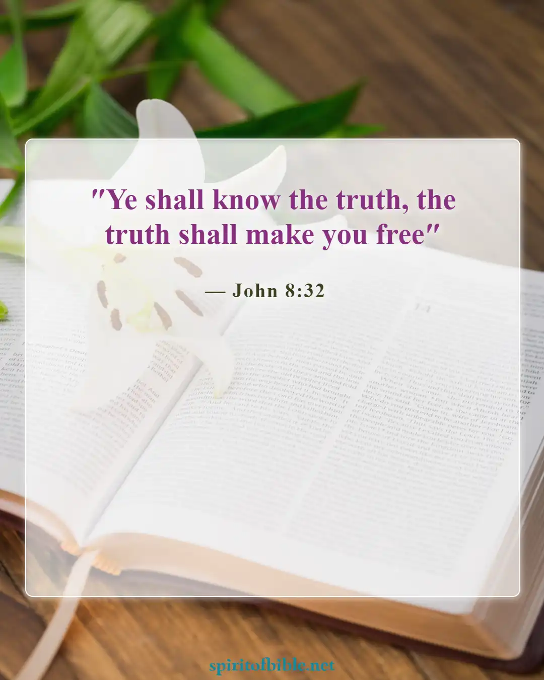 Bible Verses About Believing Lies (John 8:32)