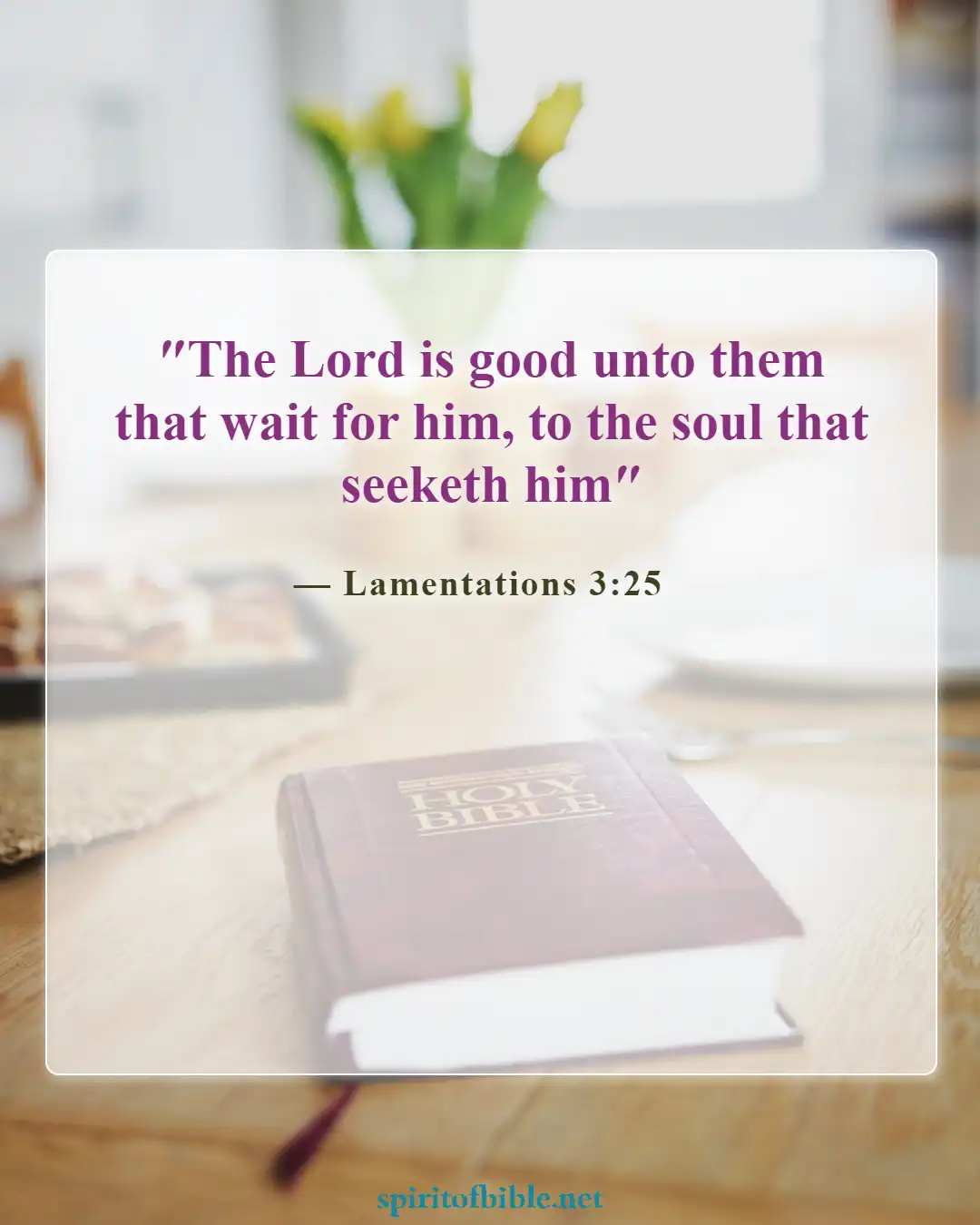 Bible Verses About Finding Your Soulmate (Lamentations 3:25)