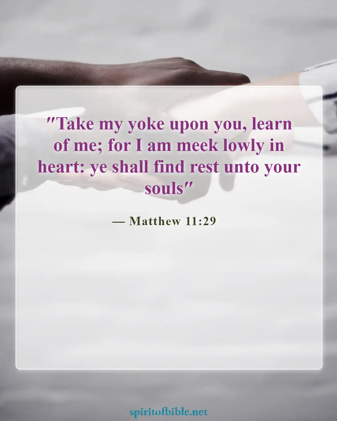 Bible Verses About Humbleness (Matthew 11:29)