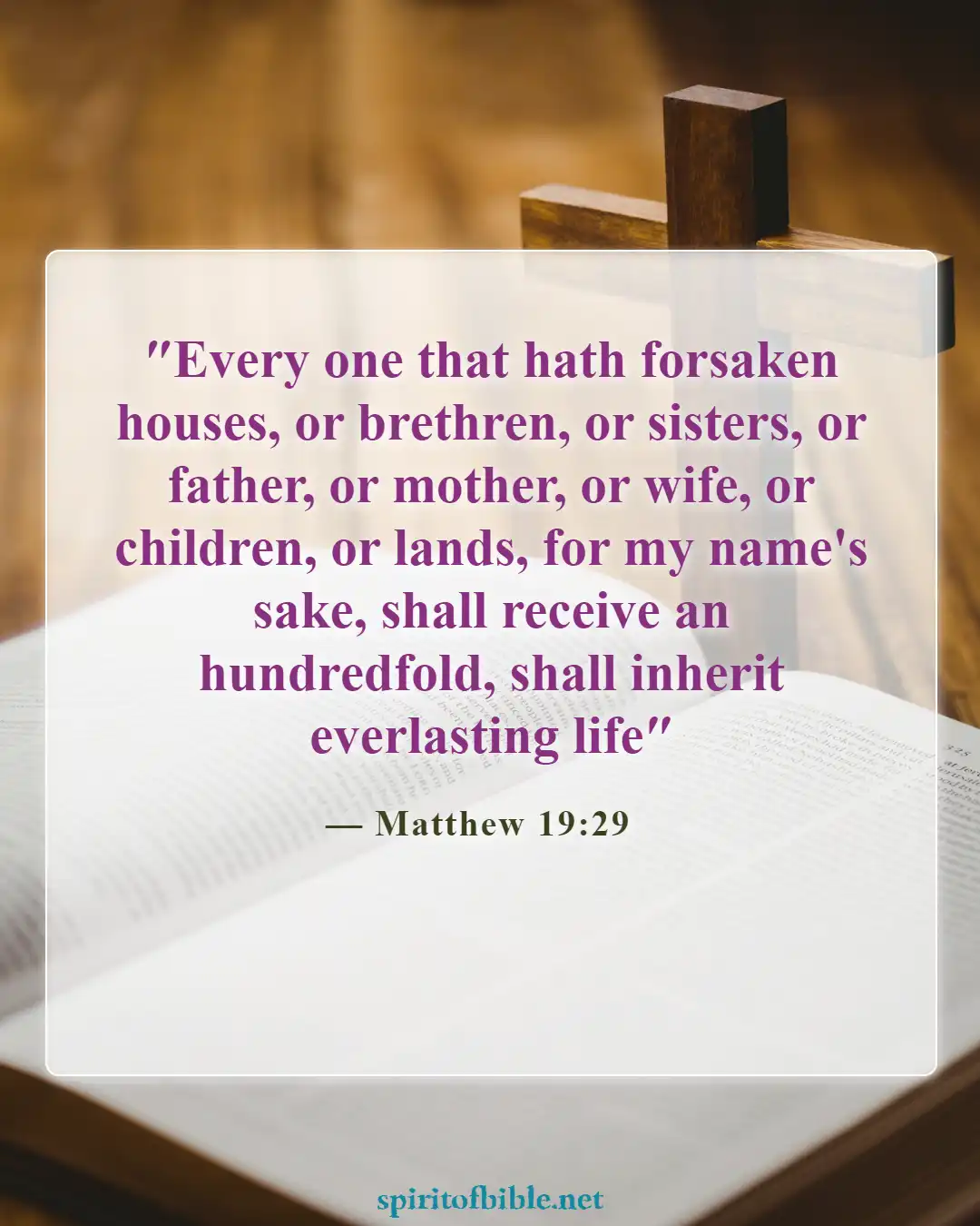 Bible Verses About Everlasting Life (Matthew 19:29)