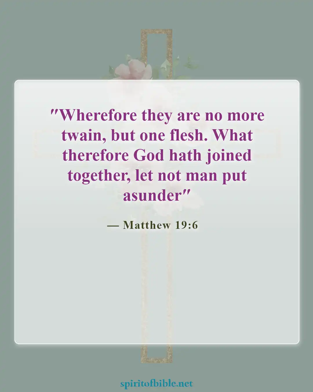 Bible Verses About Finding Your Soulmate (Matthew 19:6)