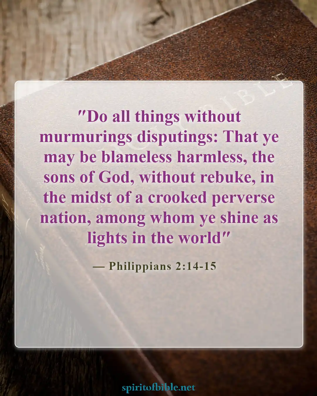 Bible Verses About Thankful For Blessings (Philippians 2:14-15)