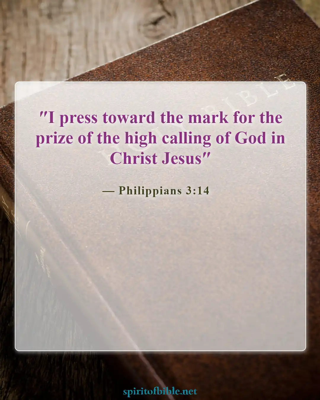 Bible Verses About Seeking God (Philippians 3:14)