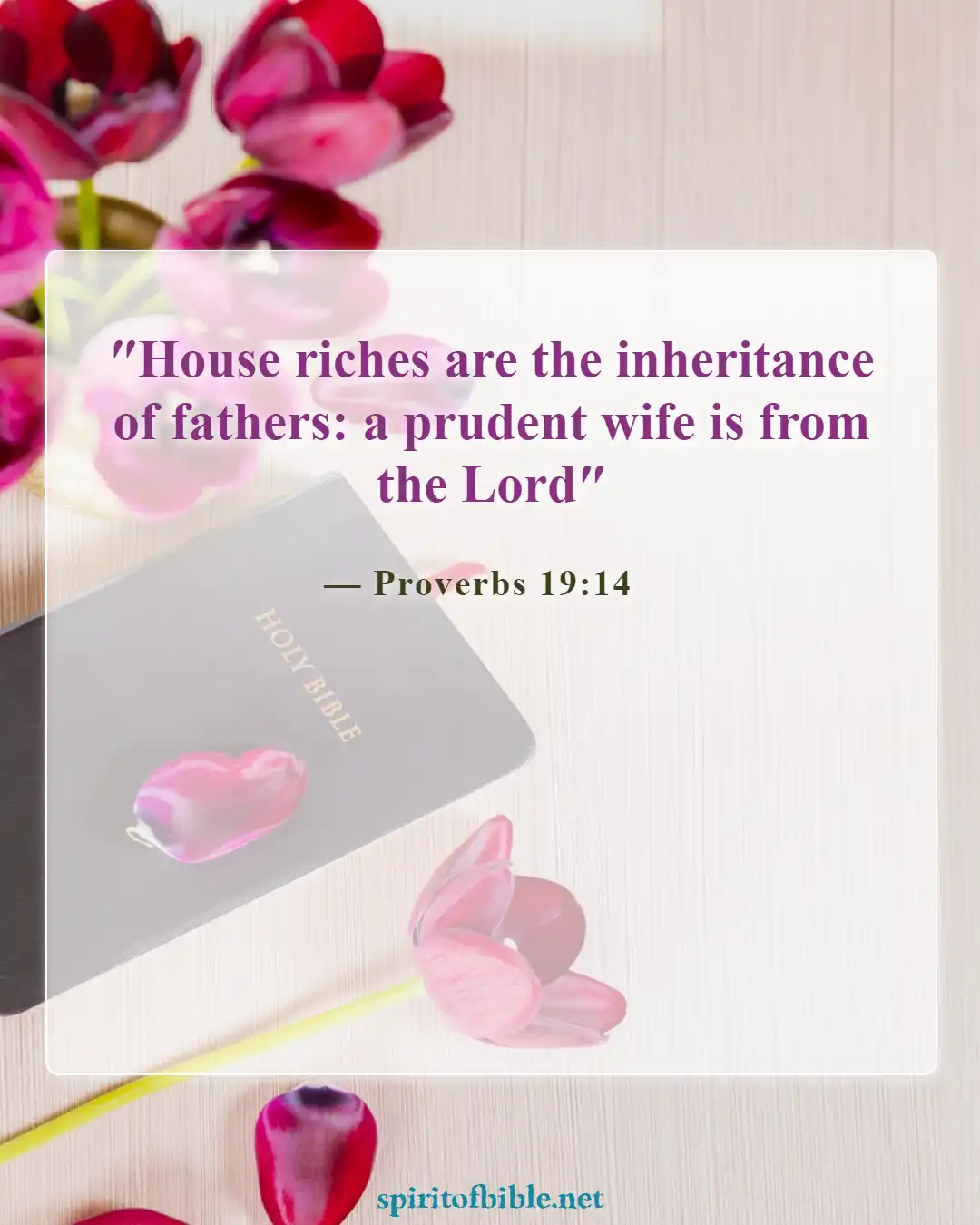 Bible Verses About Finding Your Soulmate (Proverbs 19:14)