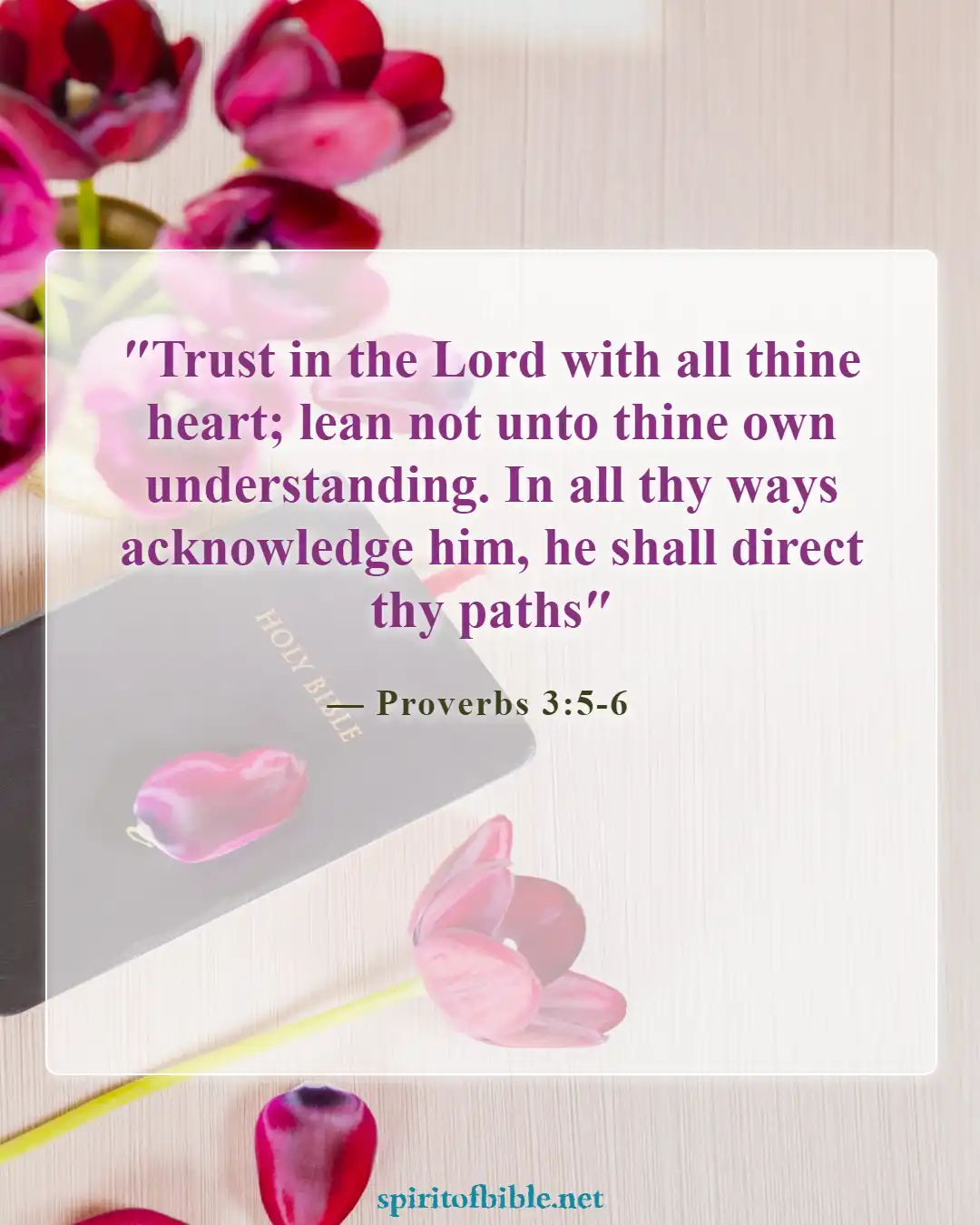 Bible Verses About Finding Your Soulmate (Proverbs 3:5-6)