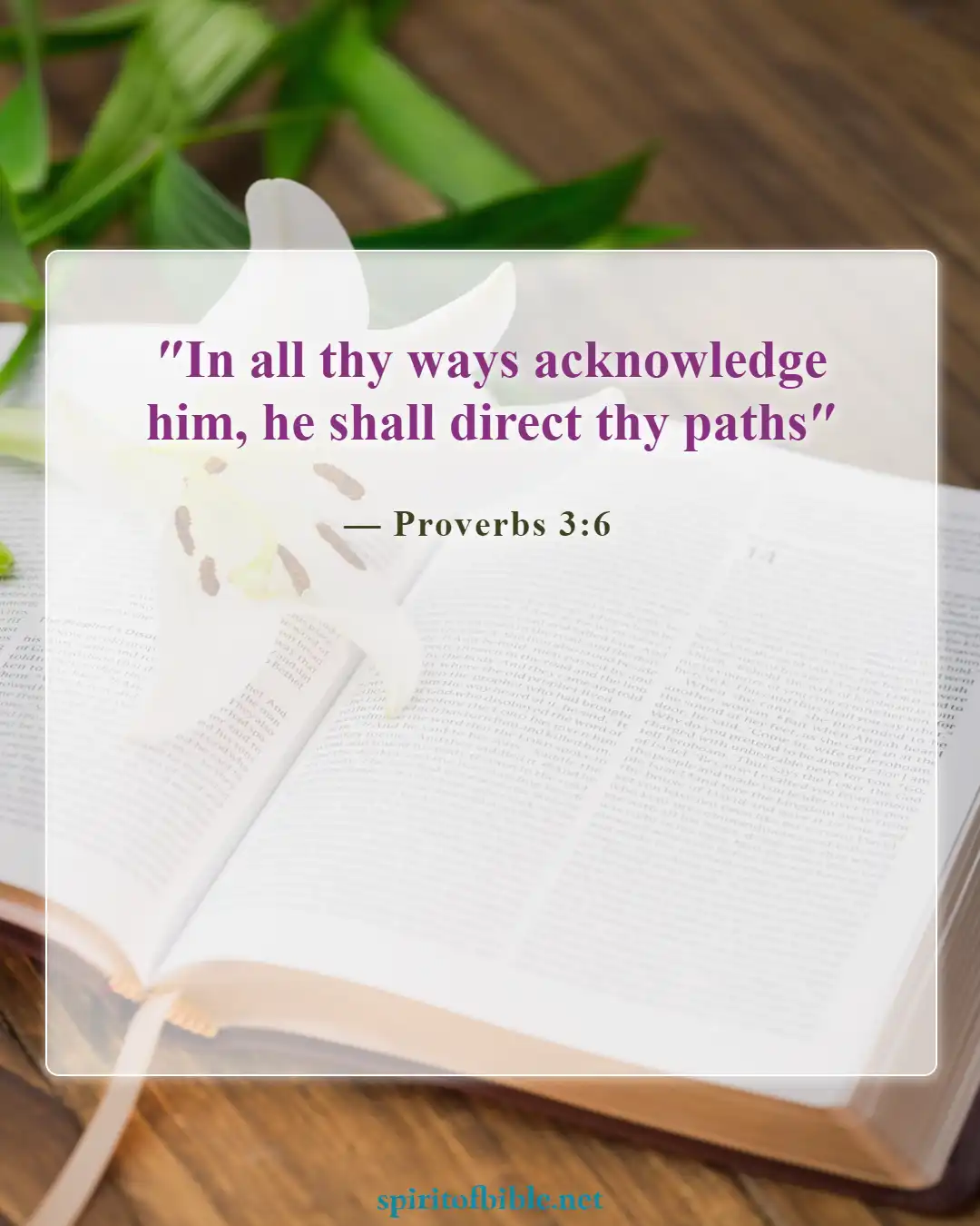 Bible Verses About Seeking God (Proverbs 3:6)