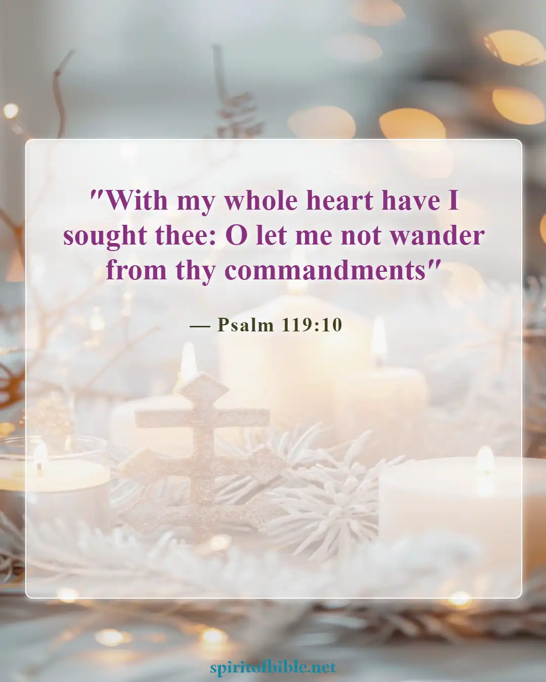 Bible Verses About Seeking God (Psalm 119:10)