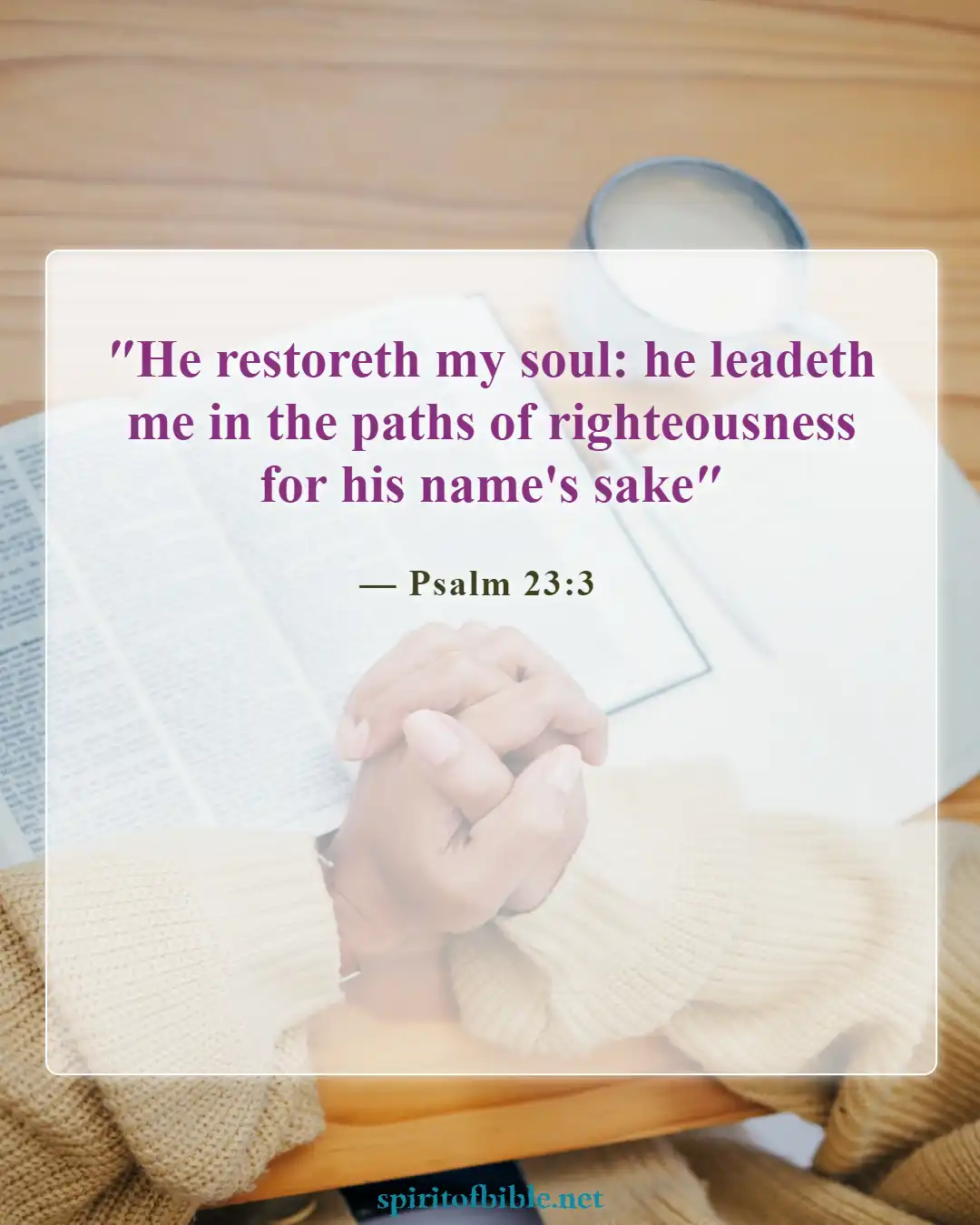 Bible Verses About Your Soul (Psalm 23:3)