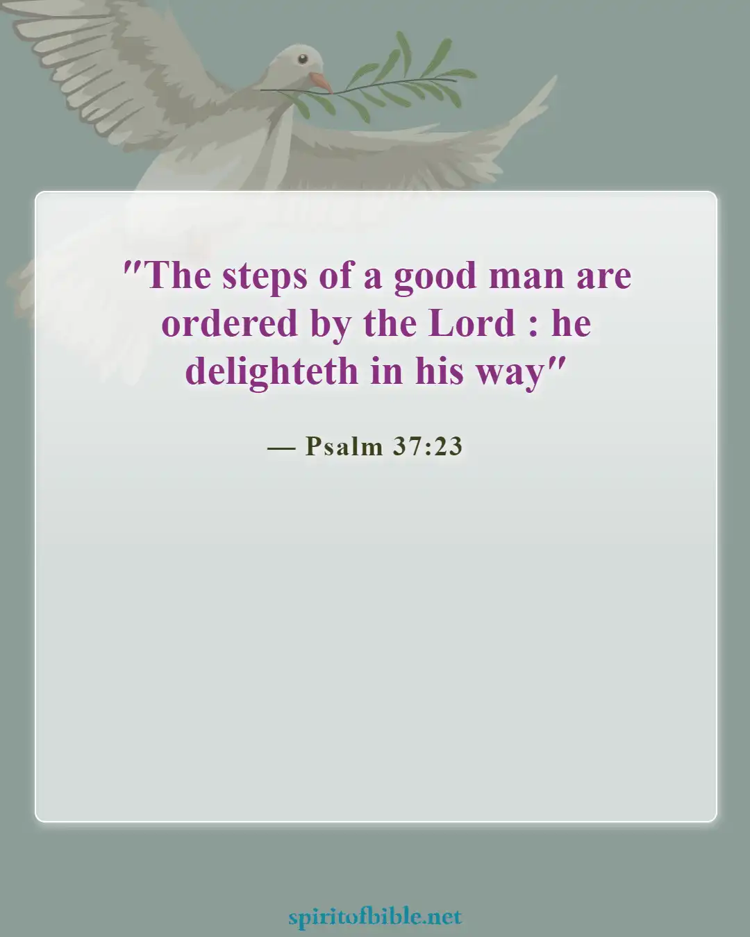 Bible Verses About God's Sovereignty (Psalm 37:23)