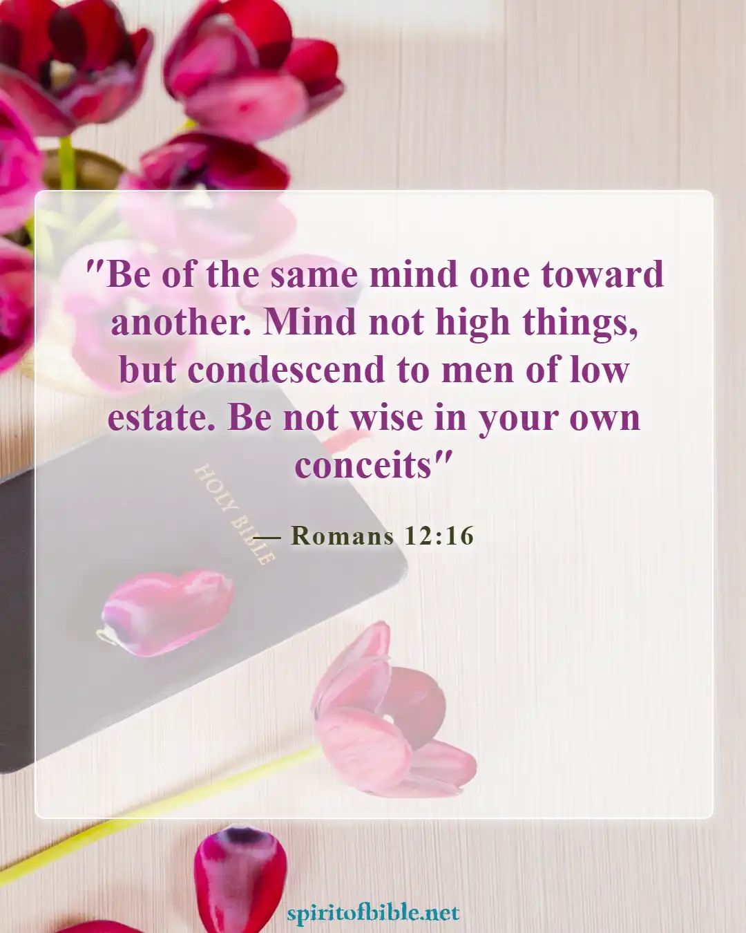 Bible Verses About Humbleness (Romans 12:16)