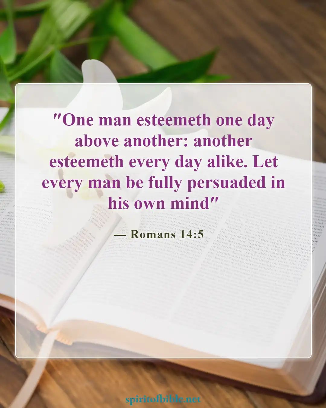 Bible Verses About Sabbath (Romans 14:5)