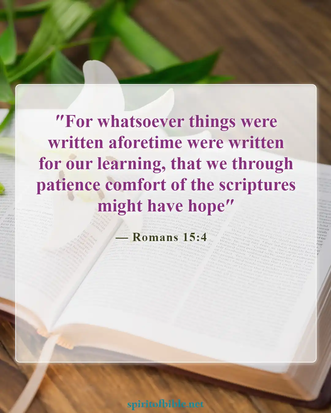 Bible Verses About Your Soul (Romans 15:4)