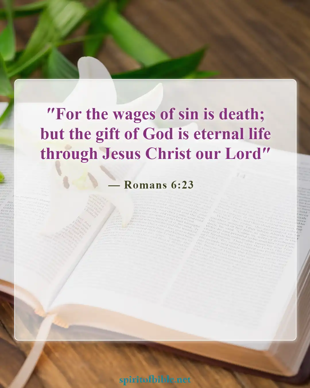 Bible Verses About Heaven and Eternal Life (Romans 6:23)