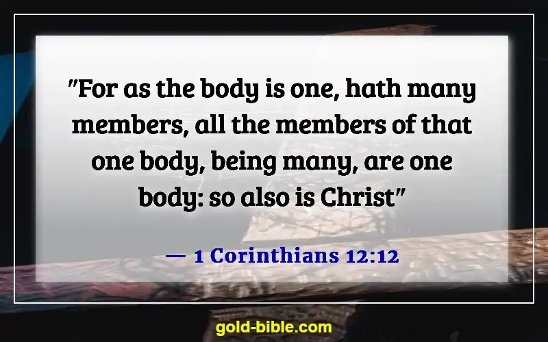 Bible Verses About Accepting Others (1 Corinthians 12:12)