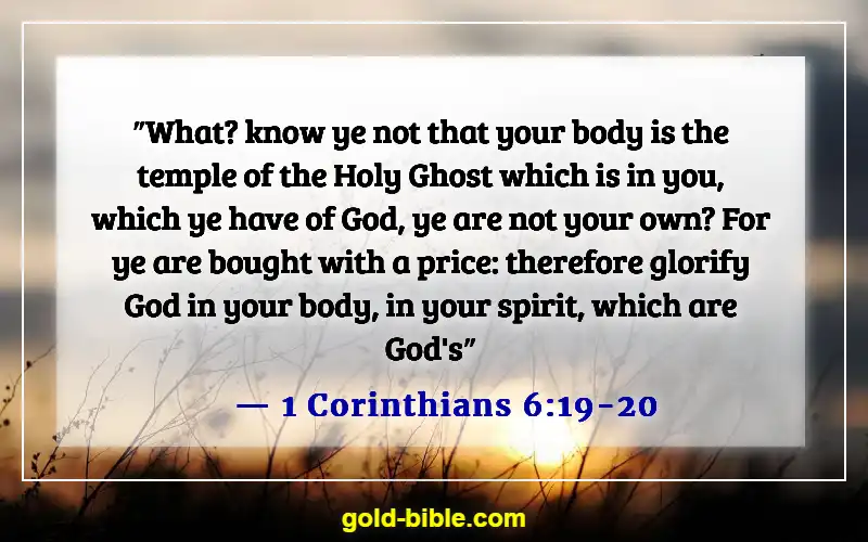 Bible Verses About Respect For Human Life (1 Corinthians 6:19-20)