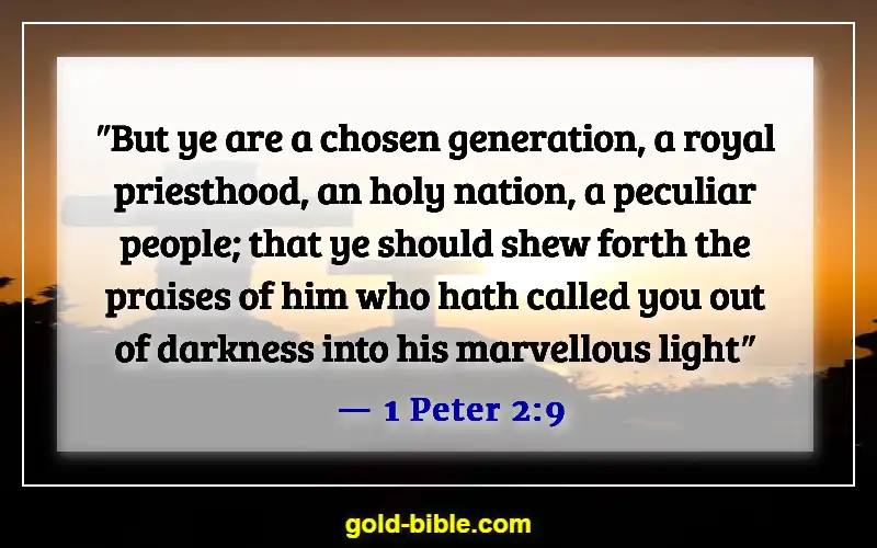 Bible Verses About God's Plans (1 Peter 2:9)