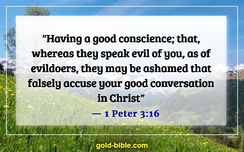 Bible Verses About Being Judged Wrongly (1 Peter 3:16)