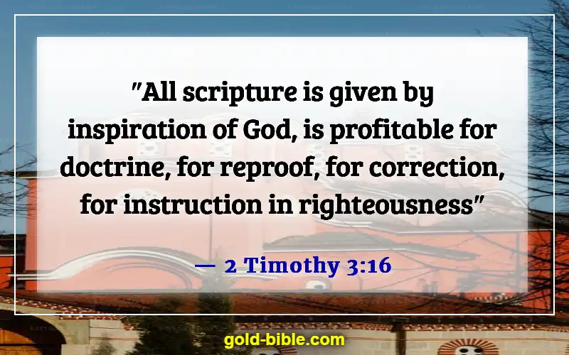 Bible Verses About Building A Relationship With God (2 Timothy 3:16)