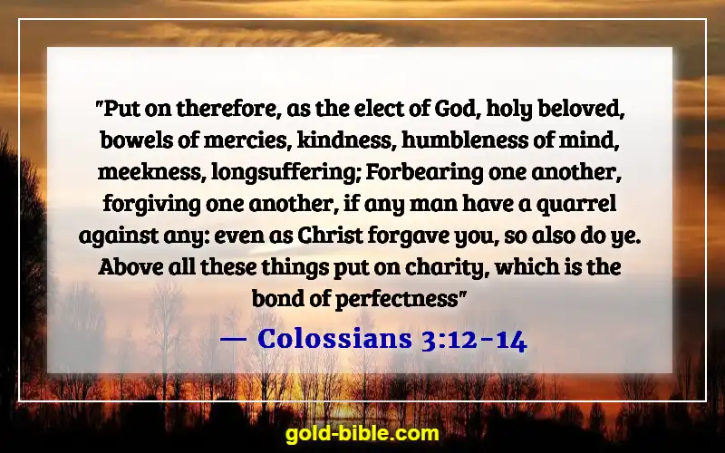 Bible Verses About Overcoming Loneliness (Colossians 3:12-14)