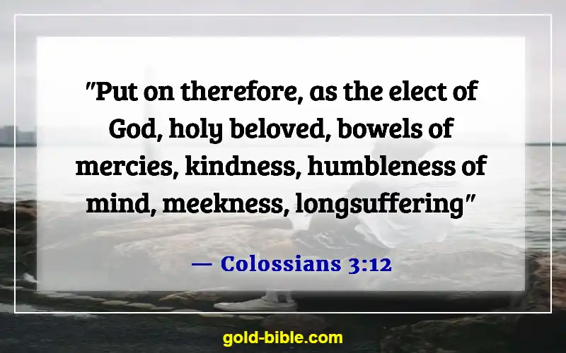 Bible Verses About Someone Doing You Wrong (Colossians 3:12)