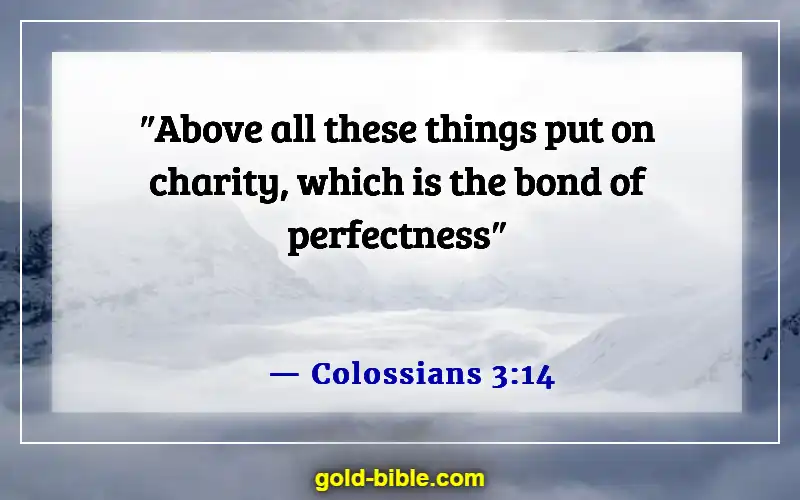 Bible Verses About Respect In Relationships (Colossians 3:14)