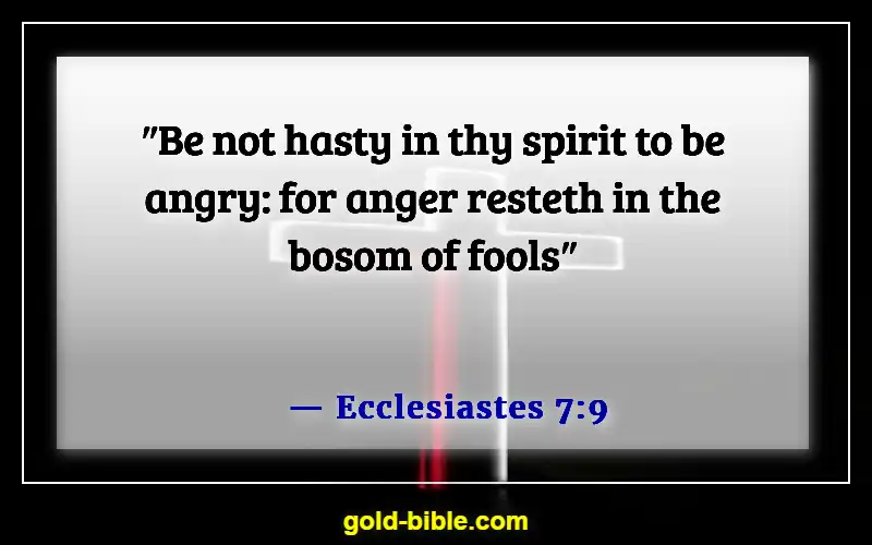 Bible Verses About Controlling Emotions And Anger (Ecclesiastes 7:9)