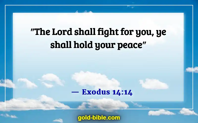 Bible Verses About God Is Fighting Our Battles (Exodus 14:14)