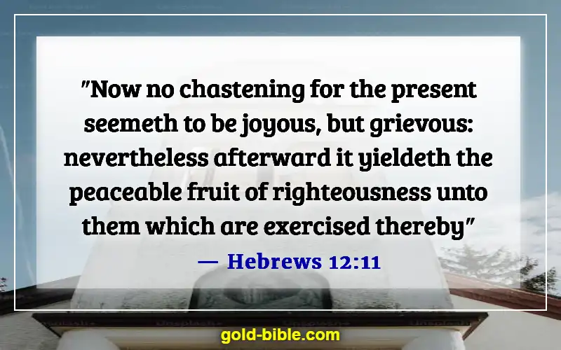 Bible Verses About Discipline Life (Hebrews 12:11)