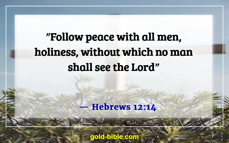Bible Verses About Dealing With Conflict Resolution (Hebrews 12:14)