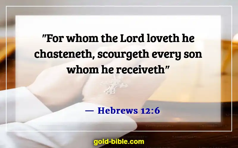 Bible Verses About Discipline Life (Hebrews 12:6)