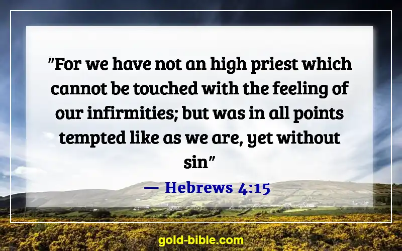 Bible Verses About Human Being Imperfect (Hebrews 4:15)