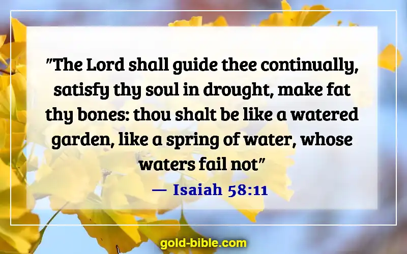 Bible Verses About Worrying About The Future (Isaiah 58:11)