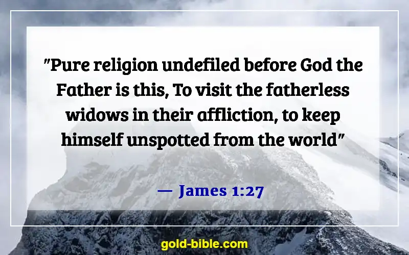 Bible Verses About Respect For Human Life (James 1:27)