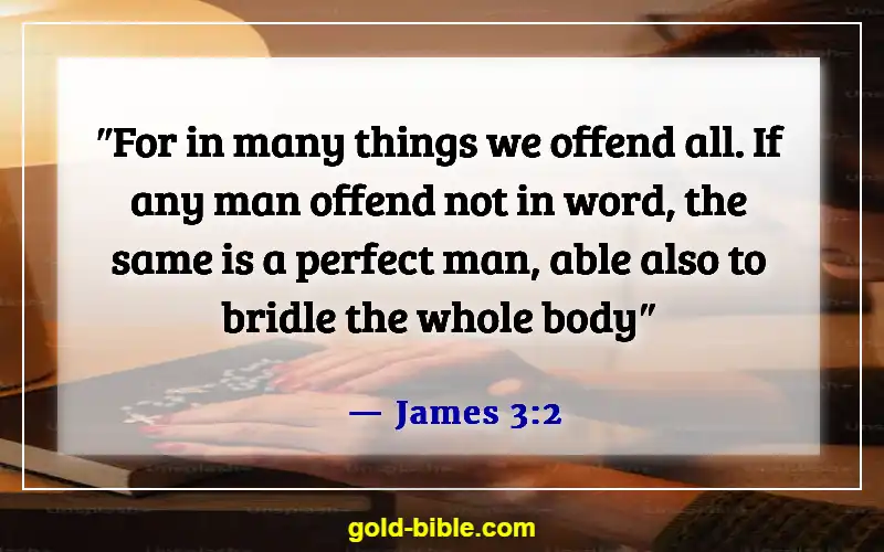 Bible Verses About Human Being Imperfect (James 3:2)