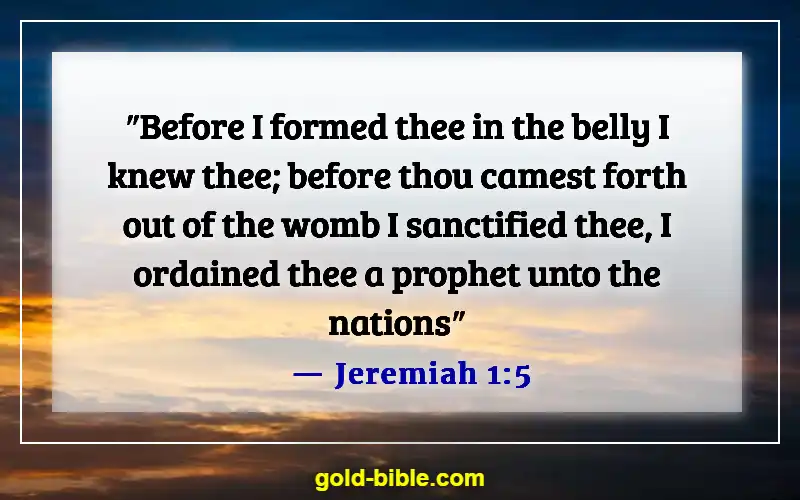 Bible Verses About Respect For Human Life (Jeremiah 1:5)