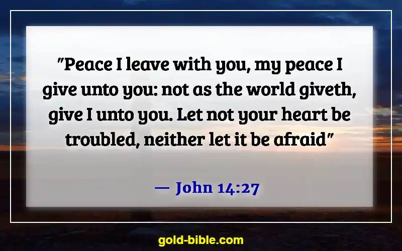 Bible Verses About Someone Doing You Wrong (John 14:27)