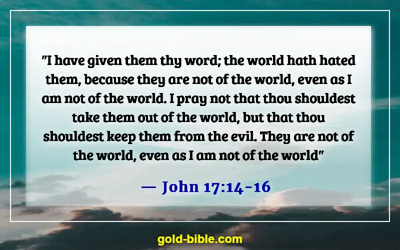 Bible Verse About Being Set Apart From The World (John 17:14-16)
